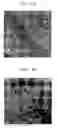 Fig. 08 - Method of preparing graphene shell and graphene shell prepared using the method