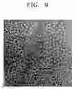 Fig. 09 - Method of preparing graphene shell and graphene shell prepared using the method