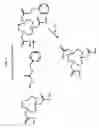 Fig. 07 - Methods and compositions for F-18 labeling of proteins, peptides and other molecules
