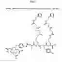 Fig. 08 - Methods and compositions for F-18 labeling of proteins, peptides and other molecules