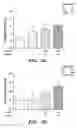 Fig. 02 - Compositions and methods for bone strengthening