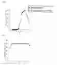 Fig. 02 - Novel Protease, Microorganism Producing the Same, and Application Thereof