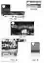 Fig. 07 - Mouse model of retinal degeneration