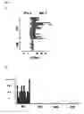 Fig. 02 - Type I interferon blocking agents for prevention and treatment of psoriasis