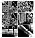 Fig. 01 - Multicomponent Nanorods