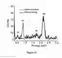Fig. 12 - Multicomponent Nanorods