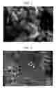 Fig. 02 - MICROPARTICLE HAVING NEEDLE-LIKE STRUCTURES ON SURFACE AND METHOD FOR PRODUCTION THEREOF