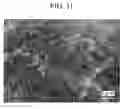 Fig. 07 - MICROPARTICLE HAVING NEEDLE-LIKE STRUCTURES ON SURFACE AND METHOD FOR PRODUCTION THEREOF