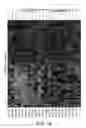 Fig. 02 - ASSESSMENT OF ASTHMA AND ALLERGEN-DEPENDENT GENE EXPRESSION