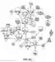 Fig. 08 - ASSESSMENT OF ASTHMA AND ALLERGEN-DEPENDENT GENE EXPRESSION