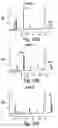 Fig. 22 - Methods of NAD-dependent deacetylation of a lysine residue in a protein