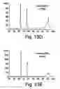 Fig. 28 - Methods of NAD-dependent deacetylation of a lysine residue in a protein