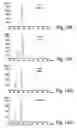 Fig. 32 - Methods of NAD-dependent deacetylation of a lysine residue in a protein