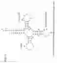 Fig. 02 - Method of synthesizing a suppressor TRNA, DNA construct and use thereof for producing a protein including a non-natural amino acid