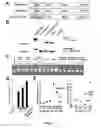 Fig. 18 - NON-VIRAL GENE DELIVERY COMPLEX