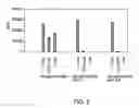 Fig. 03 - Contamination-free reagents for nucleic acid amplification