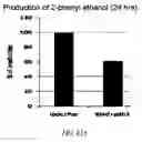 Fig. 65 - BIOFUEL PRODUCTION