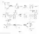 Fig. 02 - Method for producing terpenes and MEP-transformed microorganisms therefore