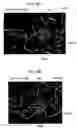 Fig. 06 - Mutant protein having diaphorase activity