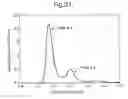 Fig. 49 - Nucleic acid molecule encoding a fusion polypeptide capable of binding VEGF