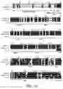 Fig. 04 - PROMOTION OF AXONAL REGENERATION