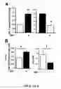 Fig. 02 - Norepinepherine Transporter Mutants and Uses Thereof