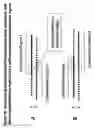 Fig. 22 - RNA INTERFERENCE MEDIATED INHIBITION OF STROMAL CELL-DERIVED FACTOR-1 (SDF-1) GENE EXPRESSION USING SHORT INTERFERING NUCLEIC ACID (siNA)