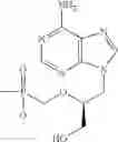 Fig. 22 - Substituted Phosphate Esters of Nucleoside Phosphonates