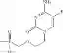 Fig. 43 - Substituted Phosphate Esters of Nucleoside Phosphonates