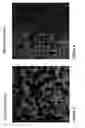 Fig. 04 - Rubber composition containing functionalized polymer nanoparticles