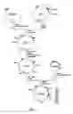 Fig. 02 - Bacterium having enhanced 2-oxoglutarate dehydrogenase activity