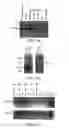 Fig. 03 - Compositions, Methods and Kits Useful for the Diagnosis and Treatment of Spinal Muscular Atrophy