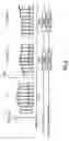 Fig. 06 - Device for characterizing the cardiac status of a patient equipped with a biventricular pacing active implant