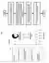 Fig. 02 - Methods and systems for specifying an avatar