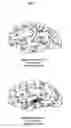 Fig. 05 - Methods and systems for specifying an avatar