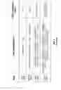 Fig. 03 - Flexible accumulator for rational division
