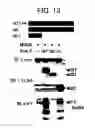 Fig. 12 - DNA encoding polypeptide capable of modulating muscle-specific tyrosine kinase activity