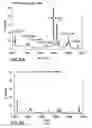 Fig. 07 - Enhanced zein reduction in transgenic corn seed