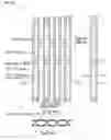 Fig. 22 - Truss Elements and Space Truss Diagonal Member Manufacturing Method