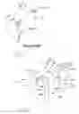 Fig. 02 - SAW TOOTH
