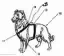 Fig. 01 - Pet Leash Carried By A Pet