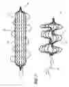 Fig. 07 - Method for permanent occlusion of fallopian tube