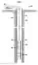 Fig. 02 - Downhole initiator for an explosive end device
