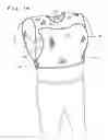 Fig. 02 - Pet carrier