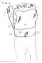 Fig. 06 - Pet carrier