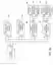 Fig. 09 - IN-MOLD DECORATION METHOD & APPARATUS