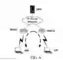 Fig. 05 - Method, system, and device of packet routing for localized mobility management network