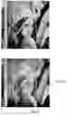 Fig. 05 - Recoverable Marks for Films