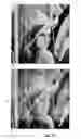 Fig. 13 - Recoverable Marks for Films
