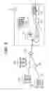 Fig. 09 - PON system method for receiving optical signal and OLT